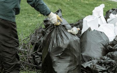 El Poder del Reciclaje: Un Viaje hacia la Sostenibilidad